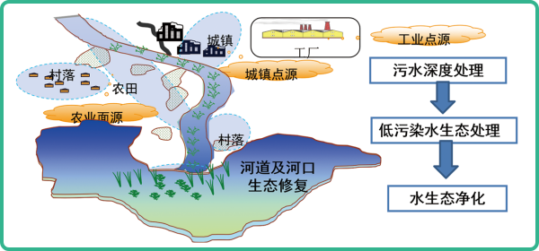 人工濕地，人工濕地建設