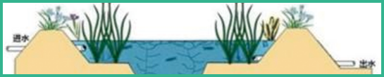 人工濕地，表面流人工濕地