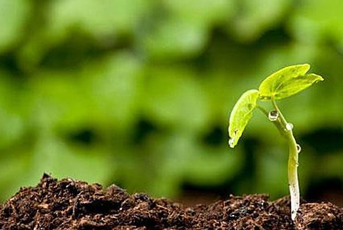 華清環境：修復被污染土壤要多長時間？