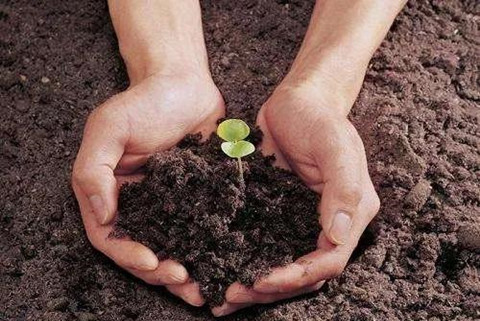 近日，天津市生態環境局印發《天津市土壤污染重點監管單位周邊土壤及地下水環境監測技術指南》（試行）