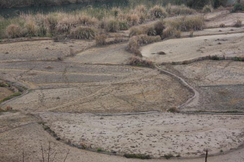 土壤重金屬污染圖片案例 土壤重金屬污染圖片案例