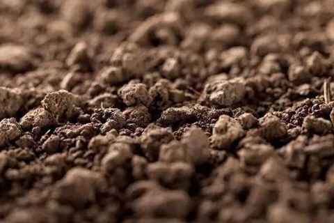 <a href=http://m.ytkymj.com/turangjiance.html>土壤檢測</a> 土壤檢測