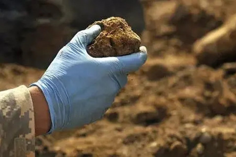 <a href=http://m.ytkymj.com/turangjiance.html>土壤檢測</a>.jpg 土壤檢測.jpg